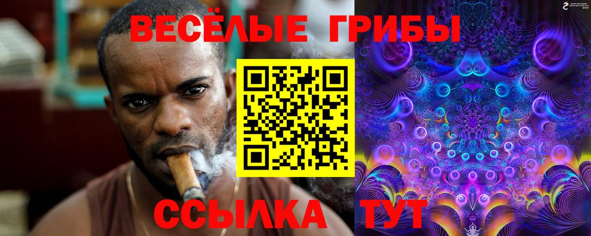 Галлюциногенные грибы мицелий Новотроицк